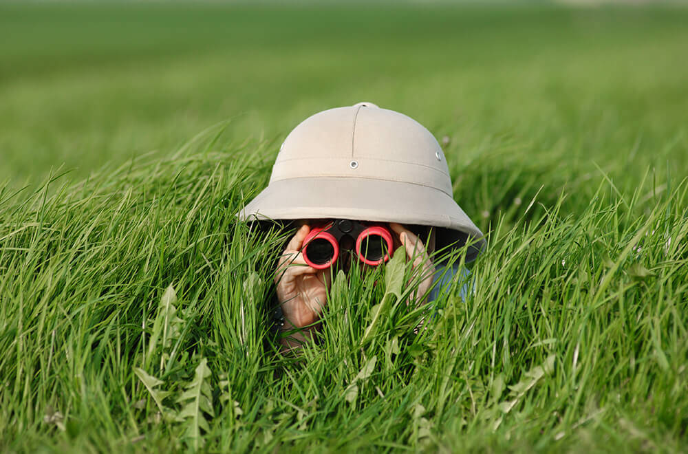 Conveyancing searches